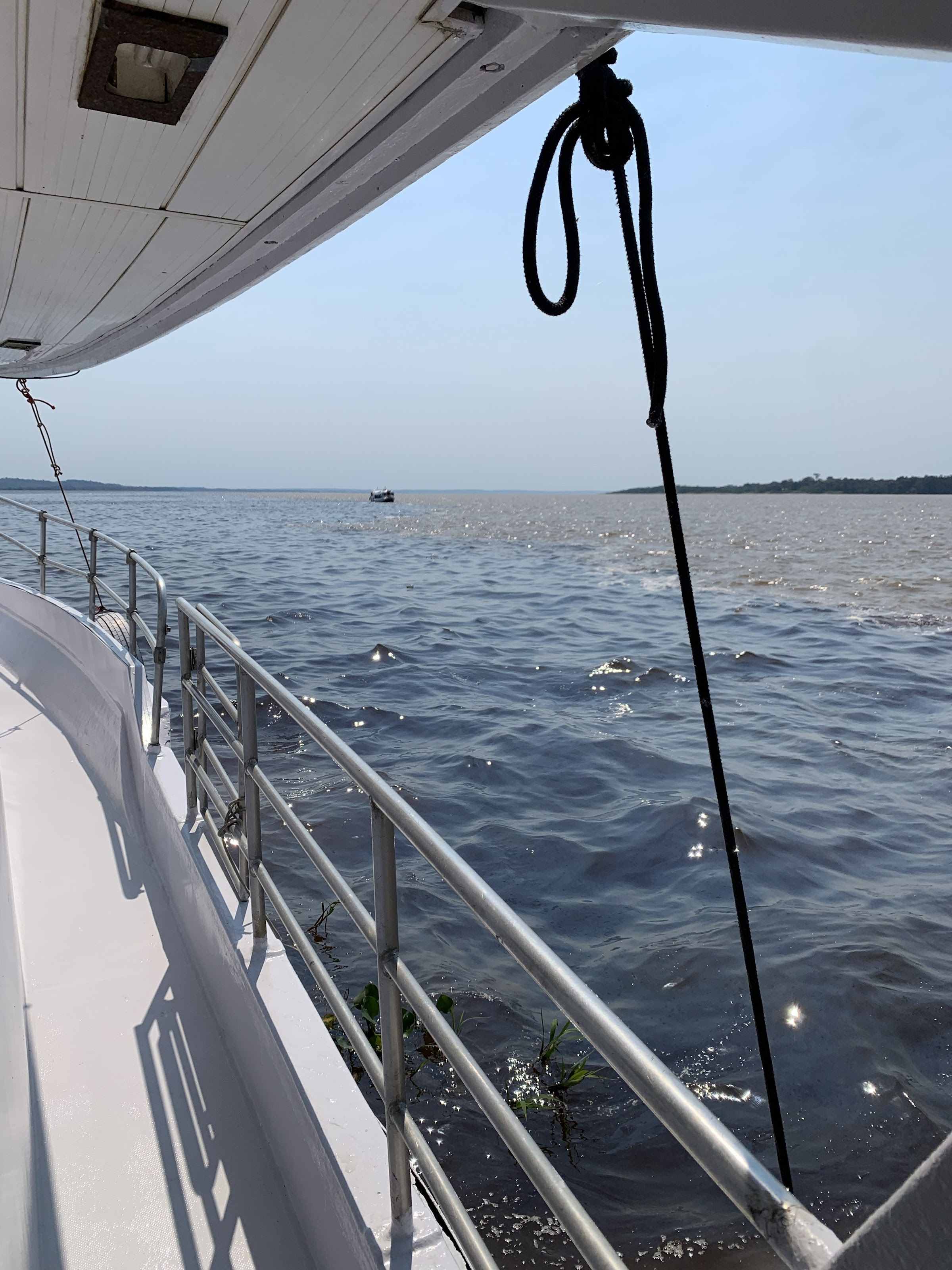 Vista do convés sobre o Rio Negro ao entardecer